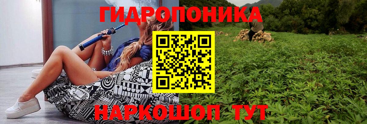 Конопля LSD WEED  Бошки марихуана индика  Вход с VPN  МАРИХУАНА SATIVA & INDICA  Бошки марихуана OG Kush  Кизляр 